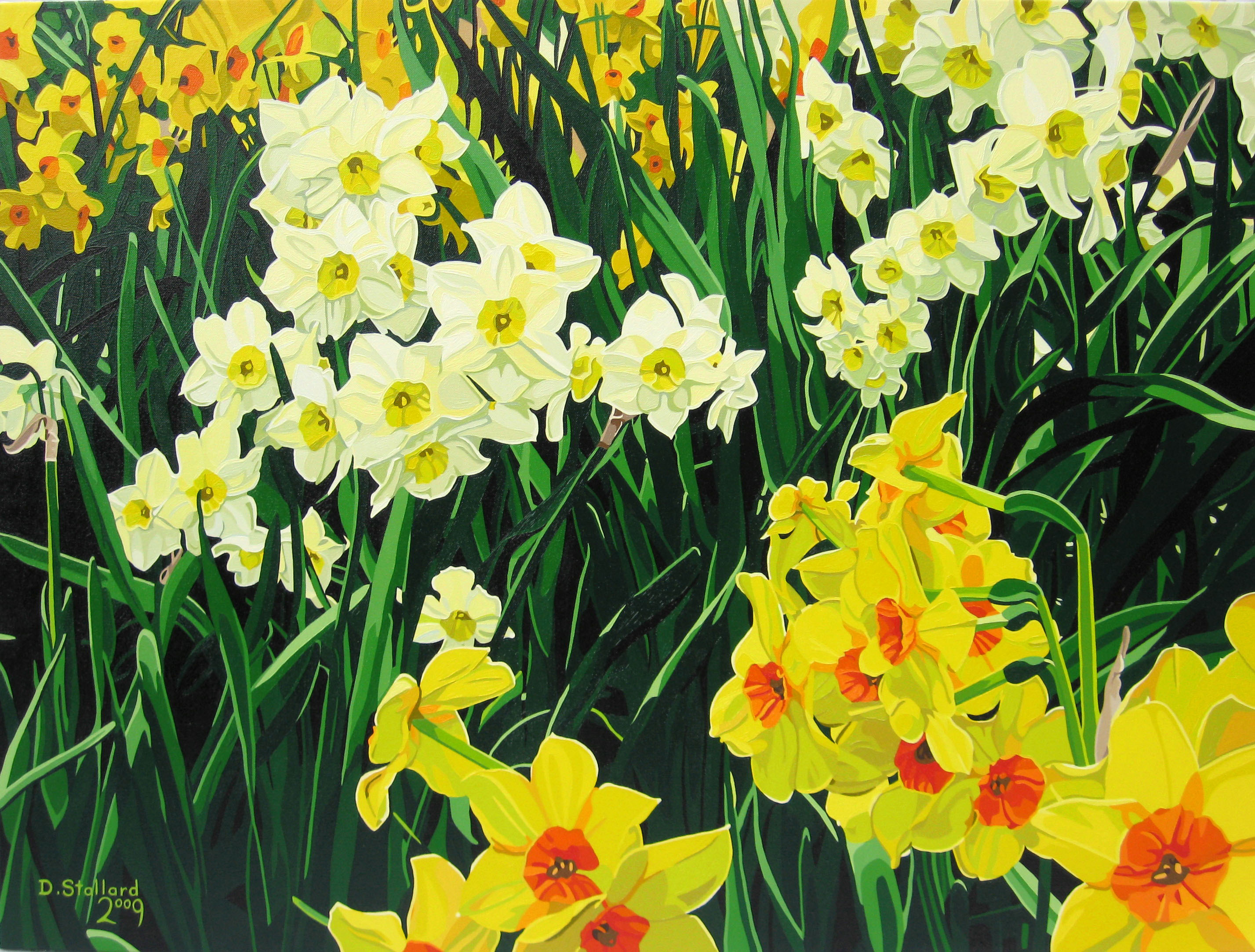 daff study