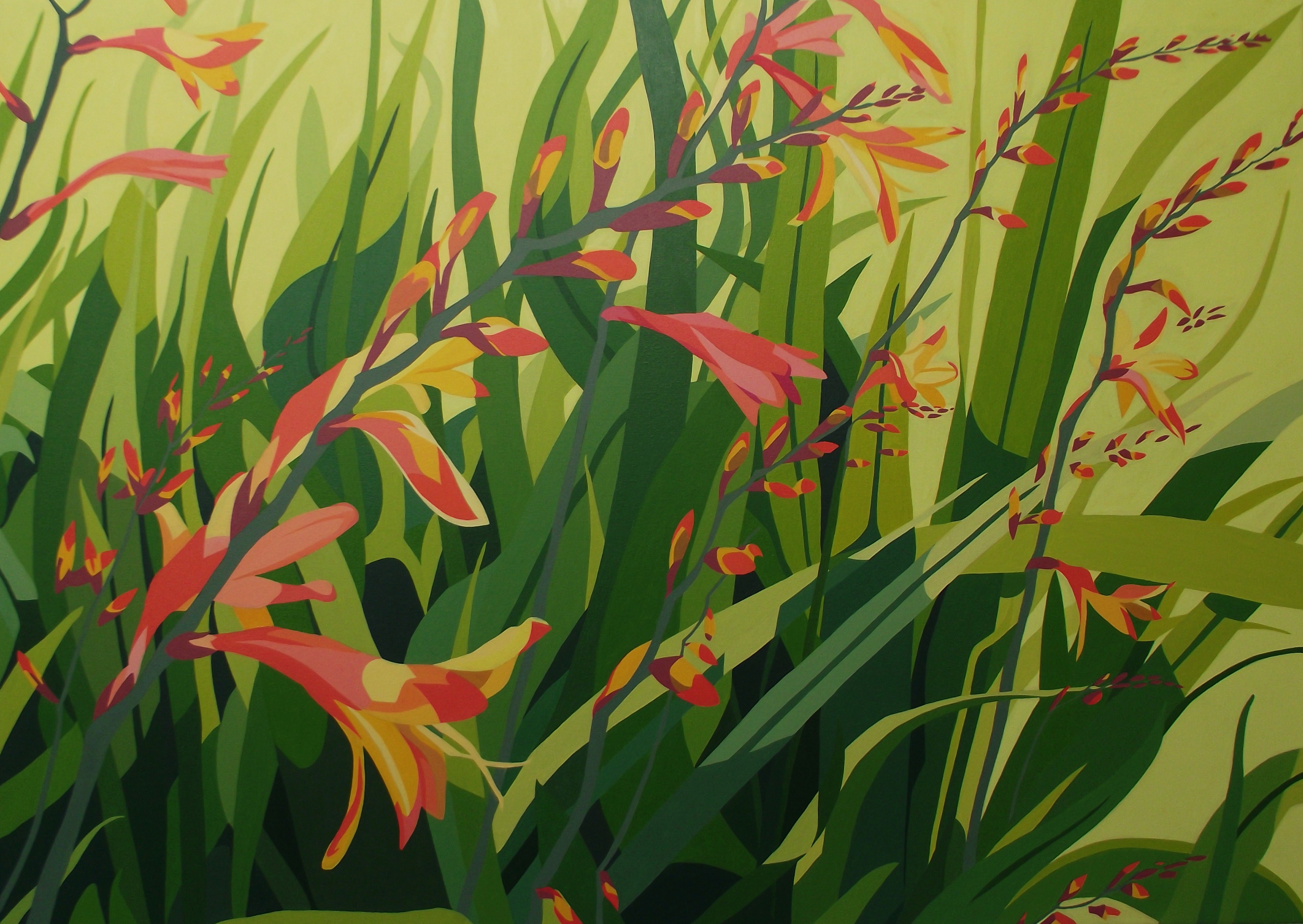Summer - Orange crocosmia, dancing foliage and sunshine p17