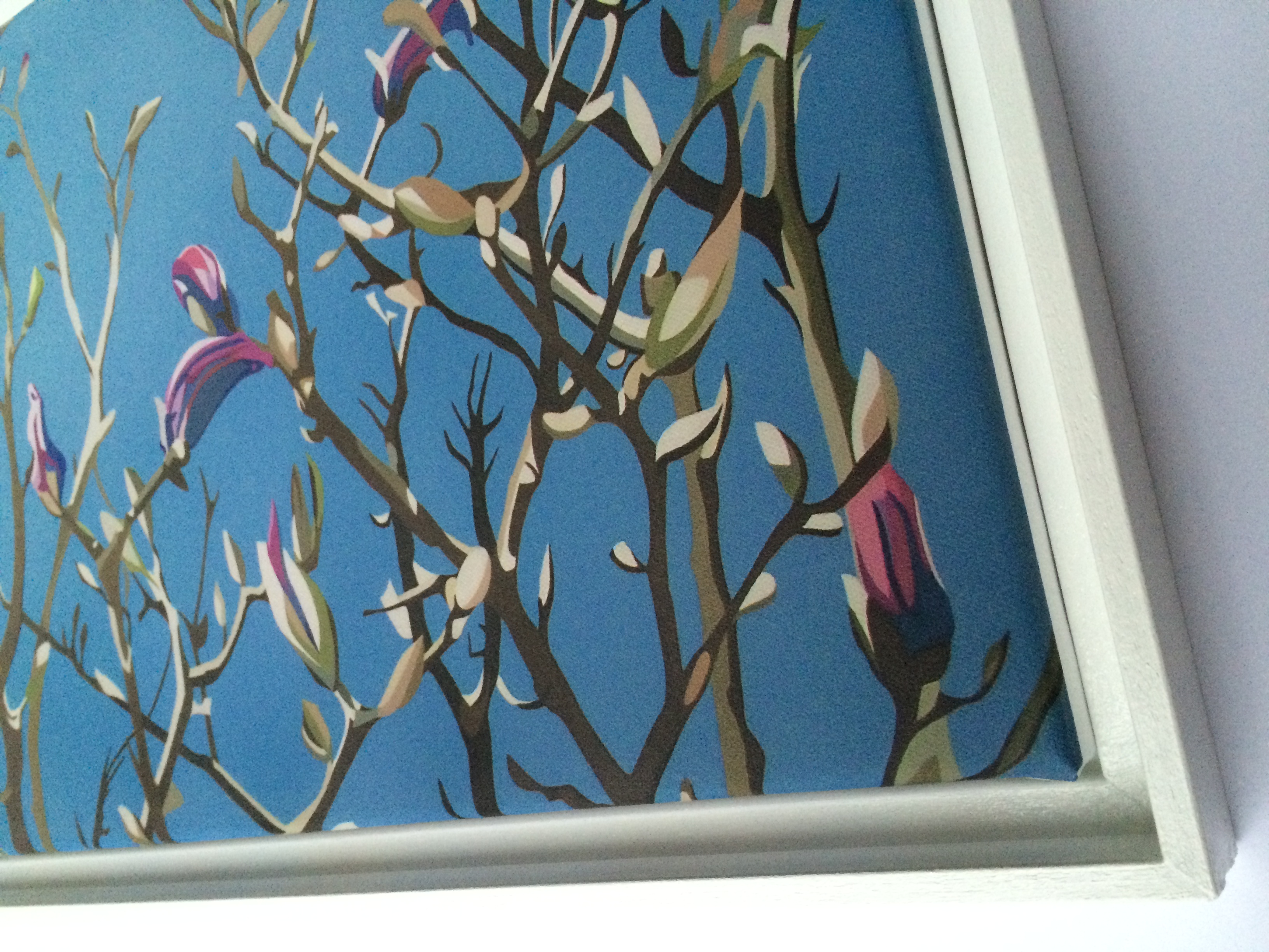 Colourful Canvas Prints Dan Stallard