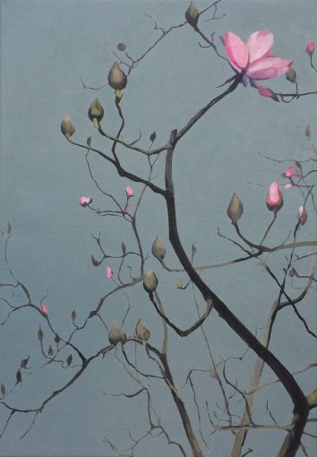 Winter Magnolia and stormy sky
